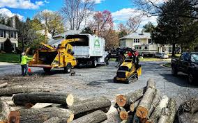 Best Utility Line Clearance  in Ipswich, SD